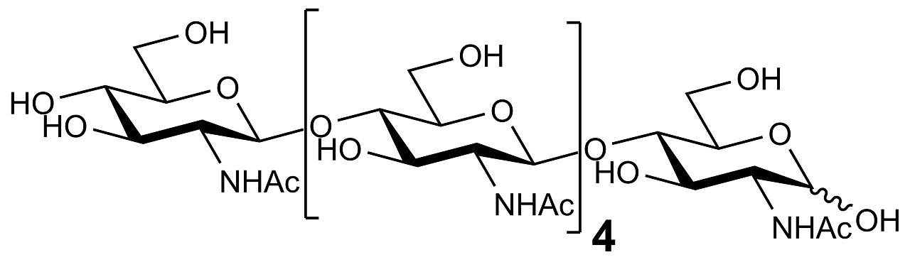 O-CHI6